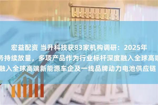 宏益配资 当升科技获83家机构调研：2025年上半年，公司多元材料业务持续放量，多项产品作为行业标杆深度融入全球高端新能源车企及一线品牌动力电池供应链（附调研问答）
