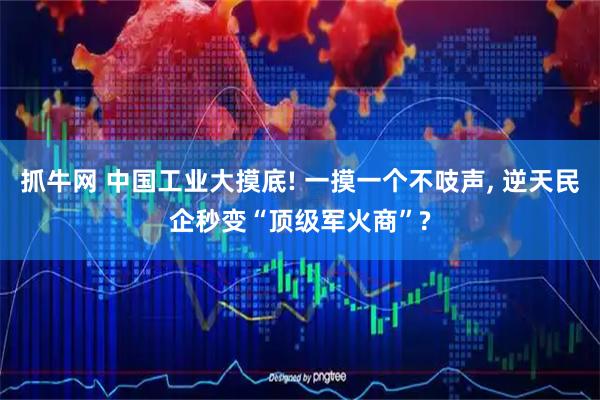 抓牛网 中国工业大摸底! 一摸一个不吱声, 逆天民企秒变“顶级军火商”?